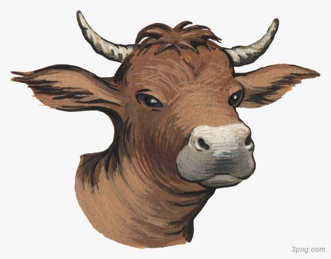 吉林市舒蘭市天德鄉(xiāng)反芻技術(shù)交流會圓滿成功！